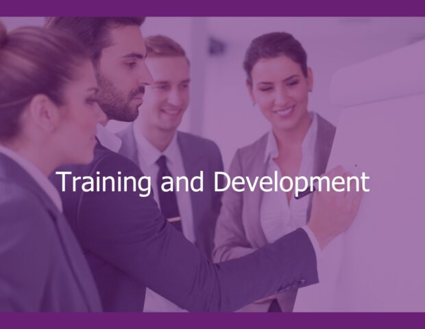 Training and Development HR article